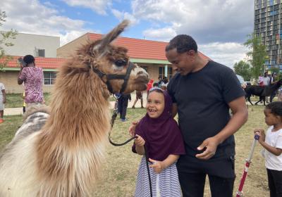 Llamas visited 16 library locations, bringing the joy of live animals to urban settings. 